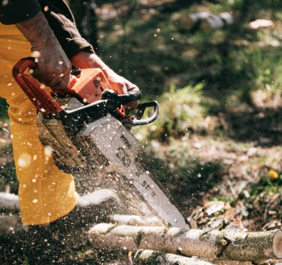 Tree Remove Service